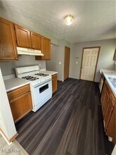 218 Chittenden St in Akron, OH - Building Photo - Building Photo