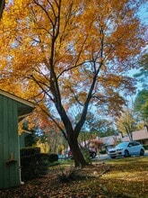 55 Candytuff Ln in Durham, NC - Foto de edificio - Building Photo