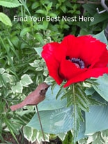 1427 N Hawley Rd, Unit 1427a in Milwaukee, WI - Building Photo