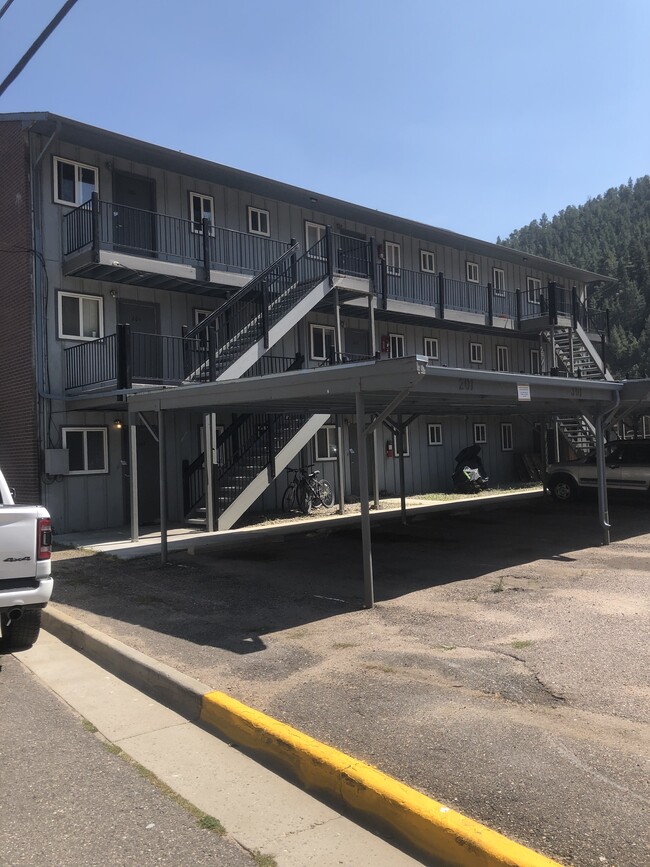345 Idaho St, Unit 203 in Idaho Springs, CO - Building Photo - Building Photo