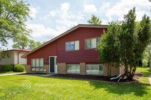 141 Hay St in Park Forest, IL - Building Photo