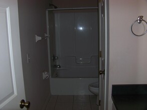 1108 Old Mossy Ct in Plant City, FL - Building Photo - Building Photo