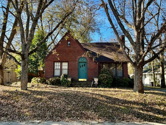 property at 1123 Flint St