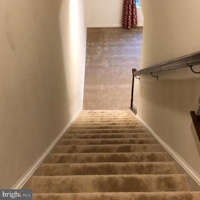 25549 Feltre Terrace in Chantilly, VA - Building Photo - Building Photo