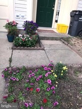 15707 Palermo Terrace in Woodbridge, VA - Building Photo - Building Photo