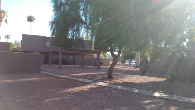 property at 1445 N 53rd Dr