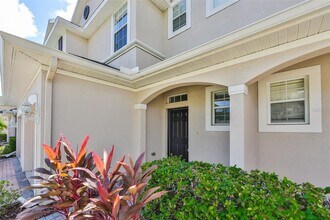 26948 Juniper Bay Dr in Wesley Chapel, FL - Building Photo - Building Photo