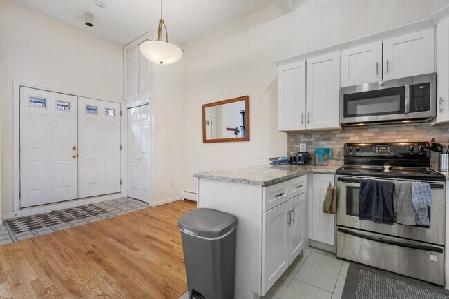 113 W Dedham St, Unit 113 in Boston, MA - Building Photo - Building Photo