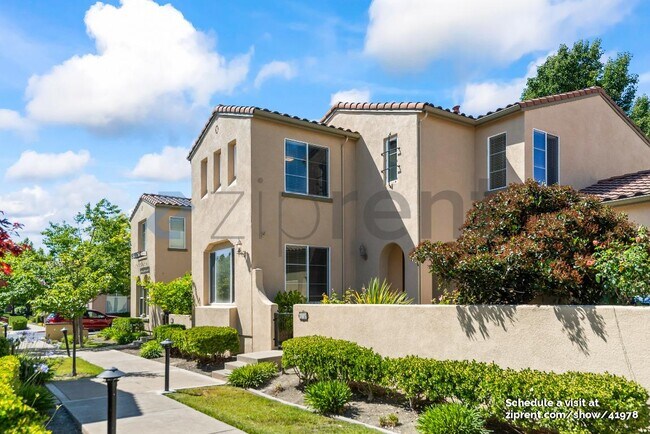 3137 Cedarwood Loop in San Ramon, CA - Building Photo - Building Photo