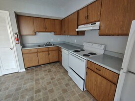 16 Duiguid Dr, Unit 3 Furguson in Lynchburg, VA - Building Photo