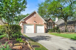 23 S Crossed Birch Pl in Spring, TX - Building Photo