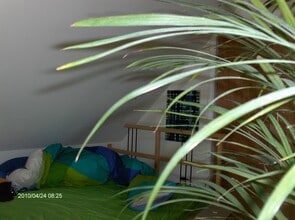 76 Nash St, Unit #2 in New Haven, CT - Foto de edificio - Building Photo