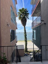 3802 Riviera Dr in San Diego, CA - Building Photo - Building Photo