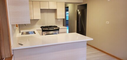 6853 W Leland Ave, Unit Garden in Harwood Heights, IL - Building Photo - Building Photo