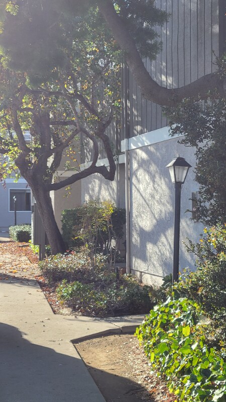 1533 El Tigre Ct-Unit -Apt L in San Luis Obispo, CA - Building Photo - Building Photo
