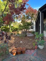 505 Durham Rd in Fremont, CA - Building Photo