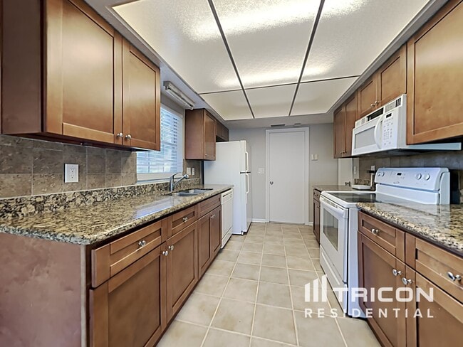1003 Meadow Ln in Brandon, FL - Building Photo - Building Photo
