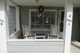 203 S Maple St in Bowling Green, OH - Building Photo