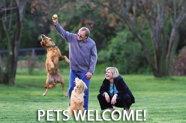 N5621 N Franklin St in Shawano, WI - Building Photo - Building Photo