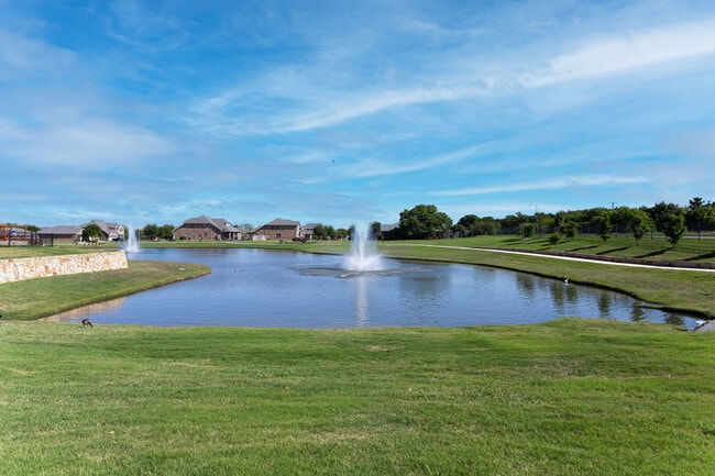 500 Promise Creek Drive in Arlington, TX - Foto de edificio - Building Photo