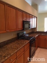 28634 Hanging Moss Loop in Zephyrhills, FL - Building Photo - Building Photo