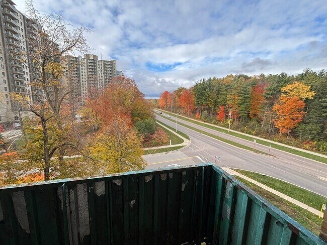 225 Old Carriage Dr in Kitchener, ON - Building Photo - Building Photo
