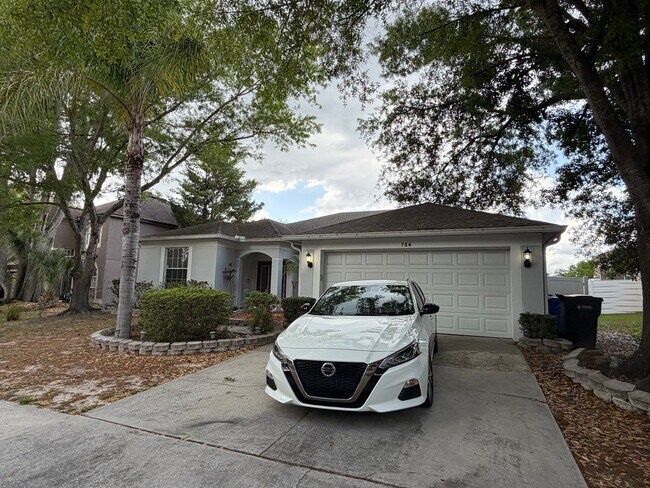 704 Grand Canyon Dr in Valrico, FL - Foto de edificio - Building Photo