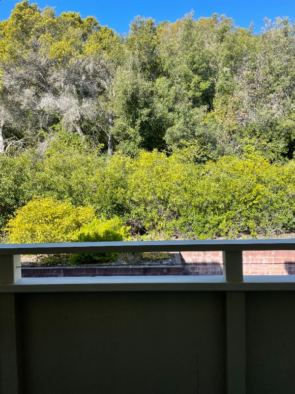 3224 Palos Verdes Ct in San Mateo, CA - Building Photo - Building Photo