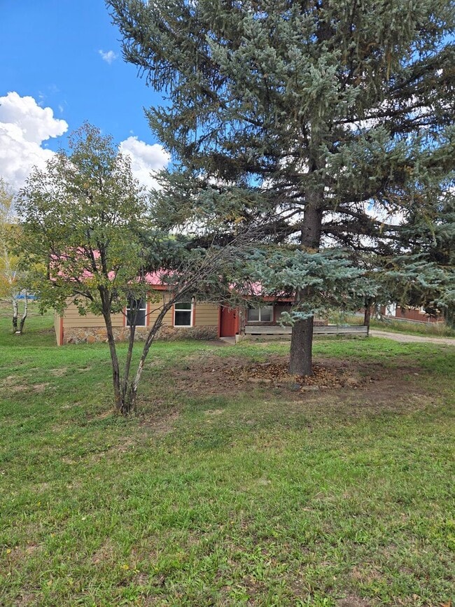 266 S 8th St in Pagosa Springs, CO - Building Photo - Building Photo