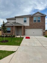 306 Camargue Dr in Hutto, TX - Building Photo
