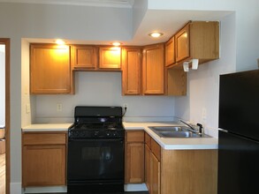 209 E 4th St, Unit 2 in Duluth, MN - Building Photo - Building Photo