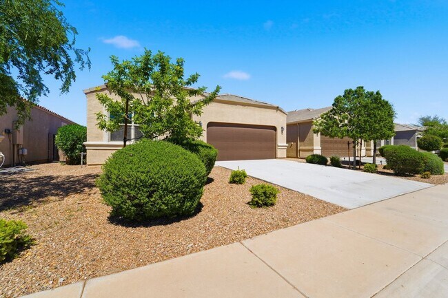 36864 W Maddaloni Ave in Maricopa, AZ - Building Photo - Building Photo