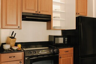 7415 Universal Blvd in Orlando, FL - Building Photo - Building Photo