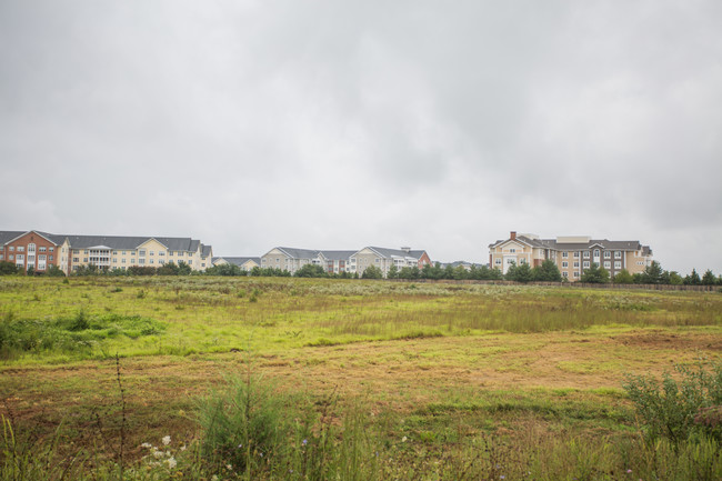 Cherry Blossom Square in Ashburn, VA - Building Photo - Building Photo