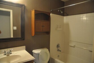 24435 Cornell Park Ln in Katy, TX - Building Photo - Building Photo