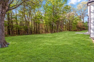 11 Cuba St in Andover, MA - Building Photo - Building Photo