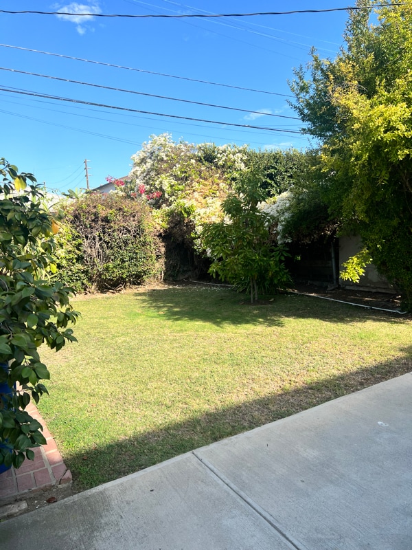 1343 Cloverdale Ave in Los Angeles, CA - Building Photo - Building Photo