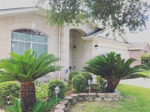 17203 Valemist Ct in Houston, TX - Building Photo - Building Photo