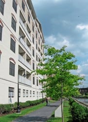 Watermill at Manayunk in Manayunk, PA - Building Photo - Other