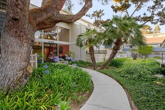 The Lofts at Pinehurst in Ventura, CA - Foto de edificio - Building Photo