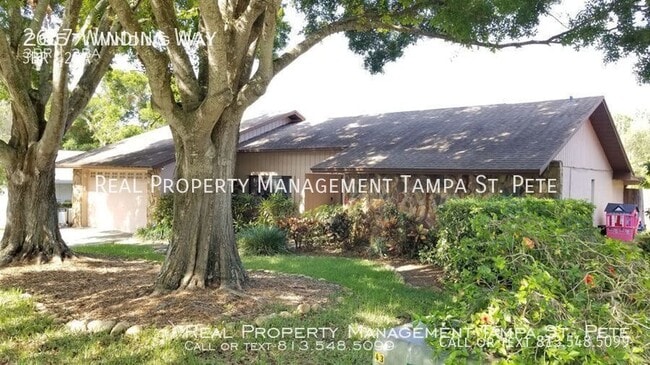 2657 Winding Way in Palm Harbor, FL - Building Photo - Building Photo