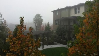 793 Modern Ice Dr in San Jose, CA - Building Photo