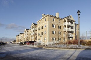 7428 Markham Rd in Markham, ON - Building Photo