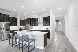 31650 Cannon Rush Dr in San Antonio, FL - Building Photo - Building Photo