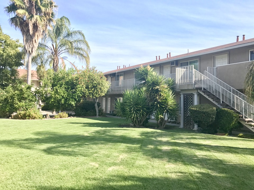 Olive Tree Apartments in Stockton, CA - Building Photo