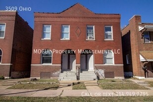 3509 Ohio Ave in St. Louis, MO - Building Photo