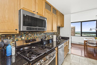 2800 N Lake Shore Dr, Unit 3201 in Chicago, IL - Building Photo - Building Photo