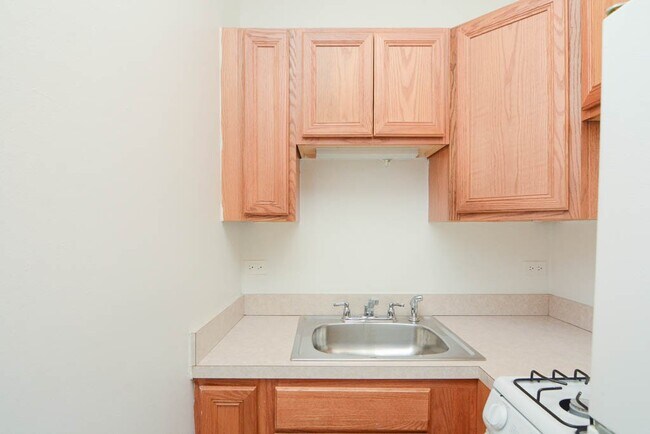 516 W Melrose St, Unit 804 in Chicago, IL - Building Photo - Building Photo