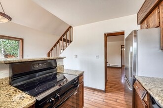 305 N Chipmunk Cir in Silverthorne, CO - Building Photo - Building Photo