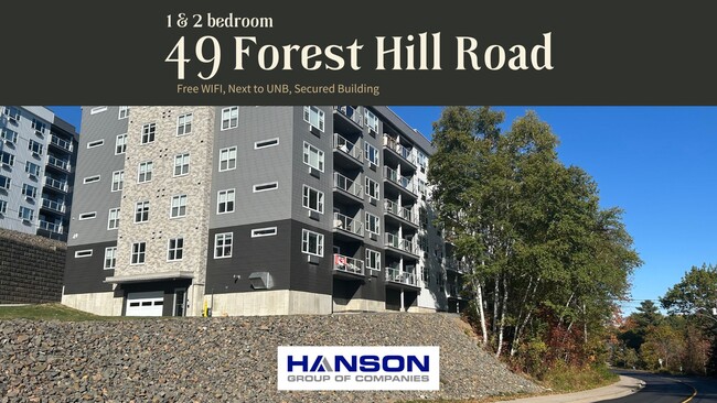 49 Forest Hill Rd